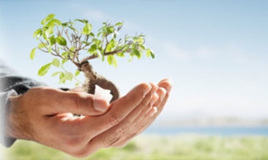 humanitarian or significant public benefit parole